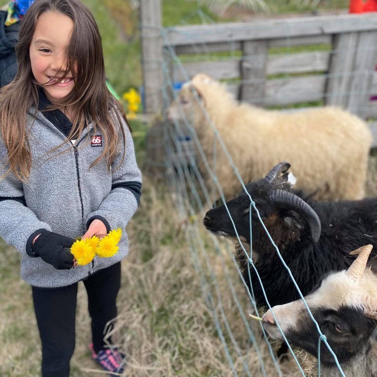 187813477_169622585099462_4610091082659223555_n