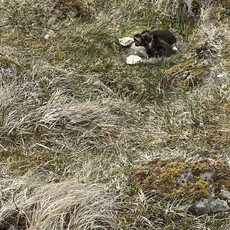 348947267_776650840626845_7858600559601890251_n