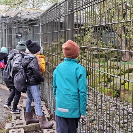 349637491_1319315022013783_5788715614728933744_n