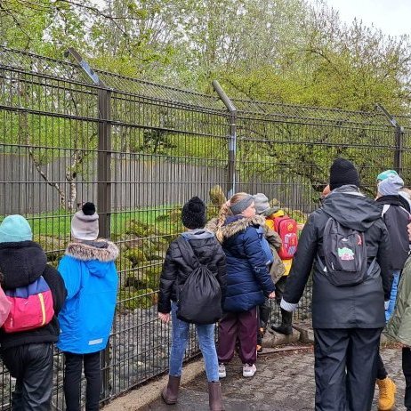 350131309_657215042894617_2889272086479686609_n