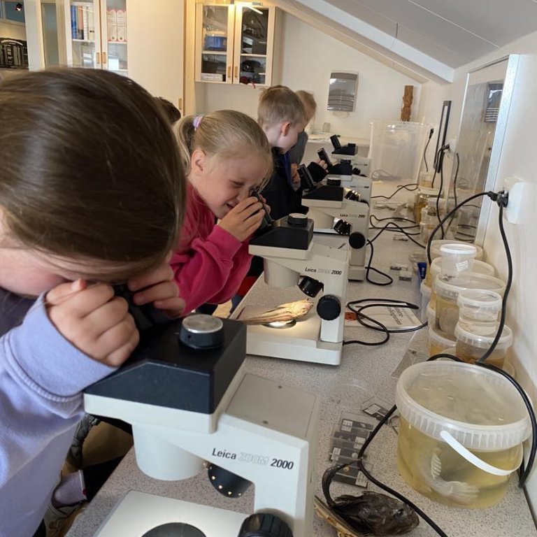 350274538_240244745289408_8797054072301793784_n