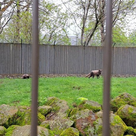 350347304_641175720815773_9215707869219262565_n