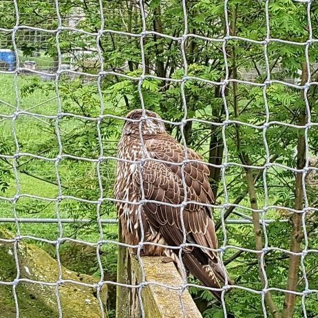 350694521_3540153566259117_6647017493757163914_n