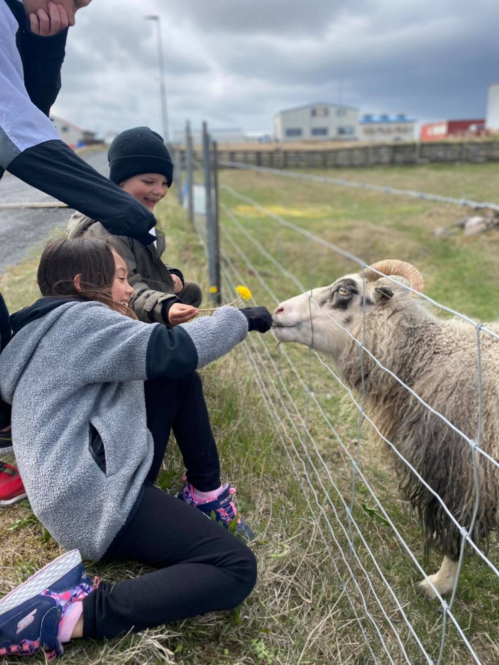 Vettvangsferð 2.bekkur