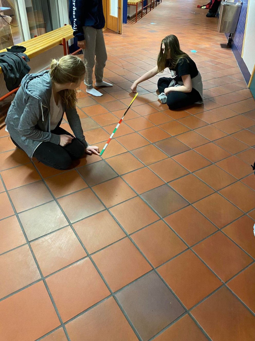 Newton á ferð og flugi – eðlisfræðilota í Bræðingi