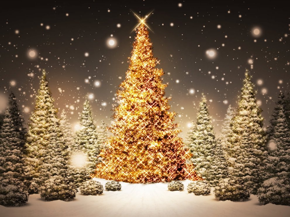 Síðasti dagurinn fyrir jól