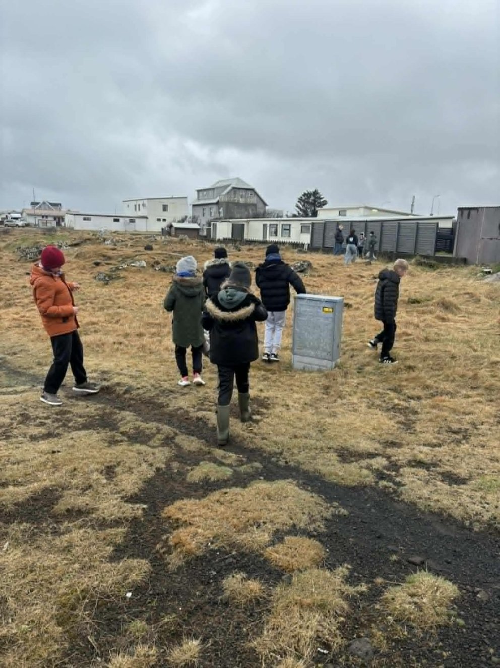 Umhverfishreinsun - svæði í fóstur