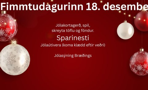 Morgundagurinn 18. desember - engar íþróttir né sund.