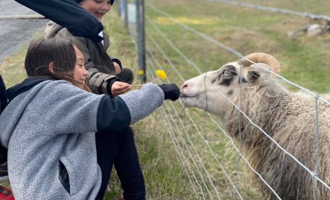 Vettvangsferð 2.bekkur