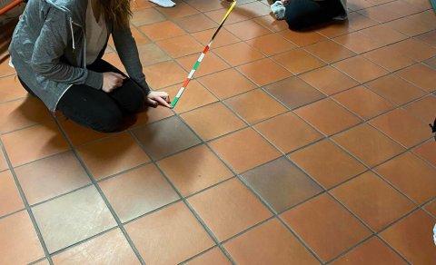 Newton á ferð og flugi – eðlisfræðilota í Bræðingi