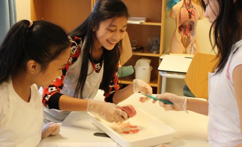 Náttúrufræði í 9.bekk