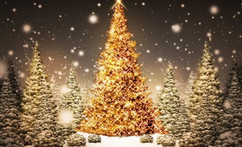 Síðasti dagurinn fyrir jól