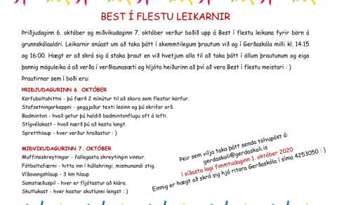 BEST Í FLESTU LEIKARNIR