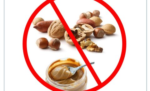 Gerðaskóli er hnetulaus skóli